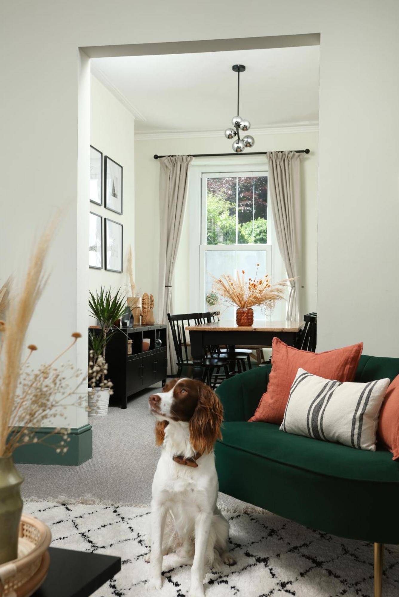 Central Plymouth Luxury House: Pet-Friendly with Hoe Access Exterior photo
